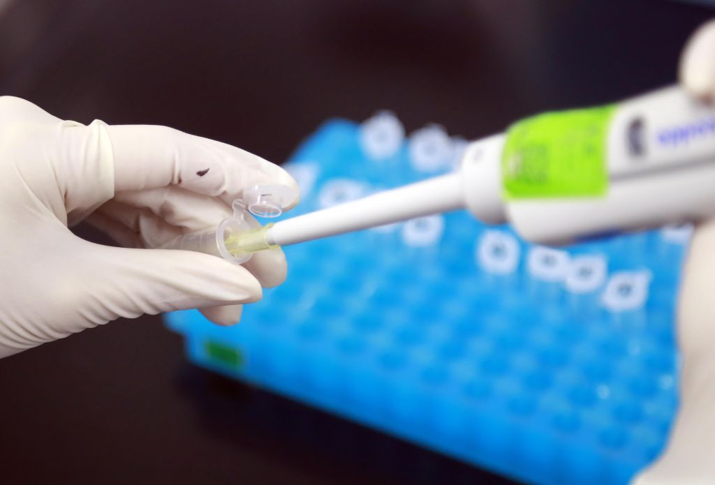 الإمارات تسجل 12 إصابة جديدة بفيروس كورونا