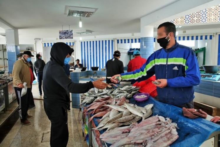 بيضاويون يتجاهلون كورونا في أسواق بيع السمك