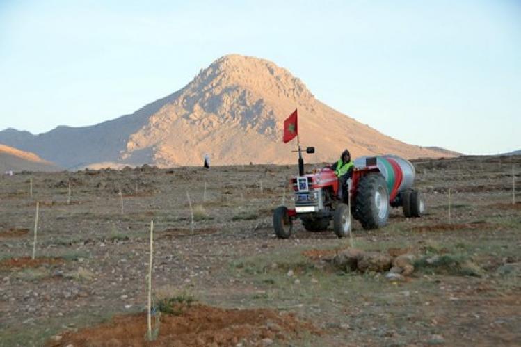 “الفاو”: مشروع مغربي يدعم البيئة ويحارب الفقر
