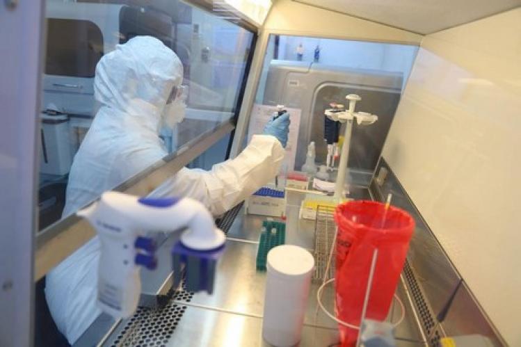 مختبرات جديدة ترفع فحوصات “كورونا” إلى 16 ألفا في الصحراء