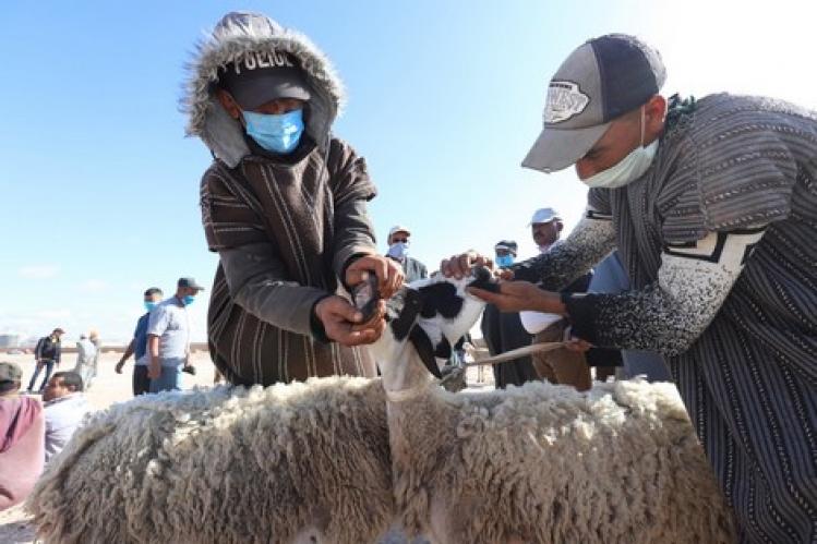 حسابات فلكية: عيد الأضحى يوم 31 يوليوز ‎