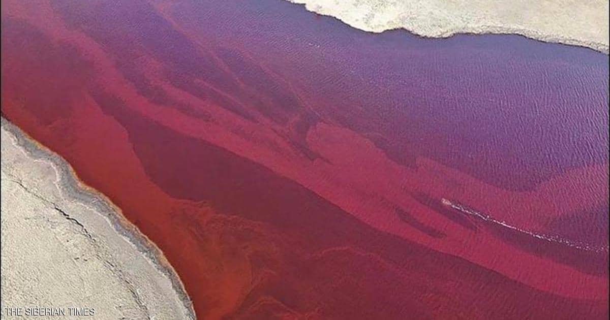 فيديو “النهر الأحمر”.. كارثة شمالي روسيا وبوتن يعلن الطوارئ