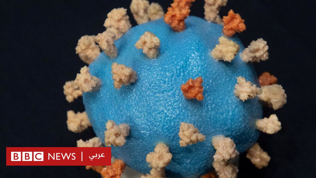 فيروس كورونا: دراسة أسبانية تشكك في جدوى مناعة القطيع