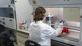 فيروس كورونا: علماء يطلبون متطوعين للتعرض للفيروس لاختبار فاعلية لقاحات محتملة لعلاج كوفيد-19
