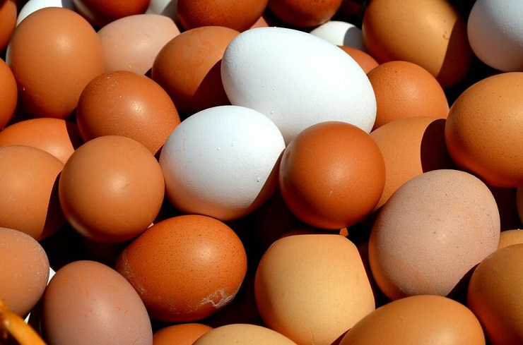 كورونا تُكبد قطاع إنتاج بيض الاستهلاك بالمغرب خسائر تقدر بـ5ر3 مليون درهم يومياً