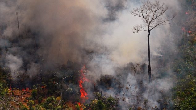 جهود متواصلة للسيطرة على حريق بغابة حوز الملاليين بعمالة المضيق الفنيدق