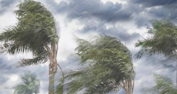 نشرة خاصة تُحذر من رياح عاصفية قوية اليوم الإثنين بعدد من مدن الشمال