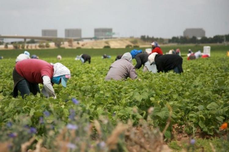 بعد إيطاليا وإسبانيا .. البرتغال تحتاج مغاربة للعمل في البناء والفلاحة‎