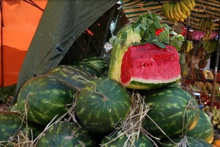 ساكنة زاكورة تأمل تقنين زراعة البطيخ الأحمر لإبعاد شبح العطش