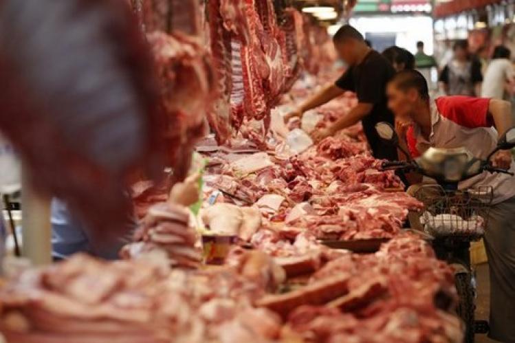 سلطات الدار البيضاء تحارب تسويق اللحوم الفاسدة