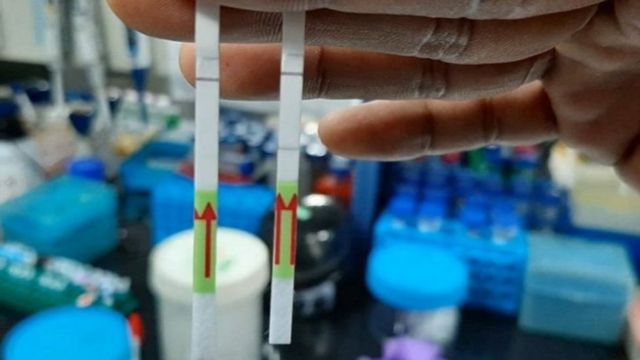 فيروس كورونا: الهند تكشف عن اختبار ورقي سريع قد يحدث “تحولا كبيرا”