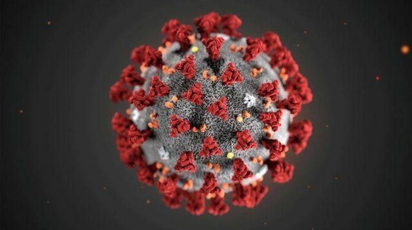 دراسة عن فيروس كورونا تكشف مفاجآة جديدة