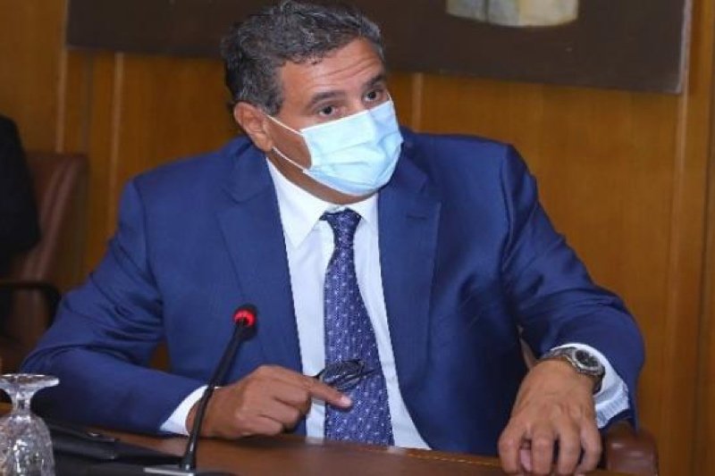 أخنوش يرأس اجتماع لجنة استراتيجية غابات المغرب