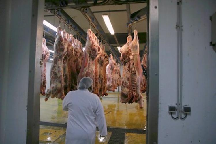 غياب التدابير الاحترازية يزيد مخاطر نقل اللحوم داخل الدار البيضاء