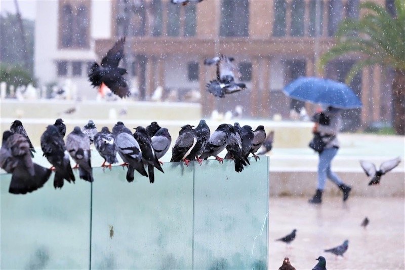 خبير يبرز أسباب انخفاض الحرارة ونتائج التساقطات الأخيرة في المغرب