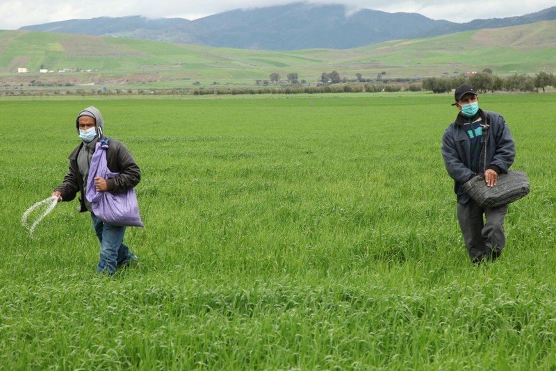 البنك الدولي يقتفي معاناة صغار الفلاحين بالمغرب‎