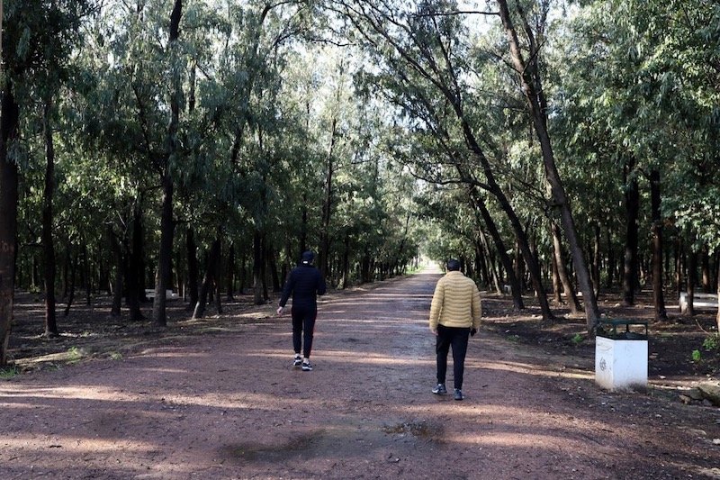 مغاربة يفرغون “ضغوط وباء كورونا” في الغابات