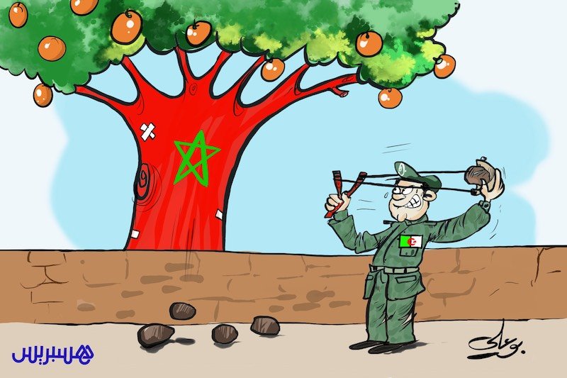 رصيف الصحافة: نجاحات الدبلوماسية تزيد عداء الجزائر للمملكة المغربية