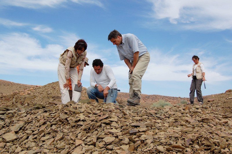 علماء يكتشفون أقدم حفرية للحيوان المائي “نجم البحر” في الصحراء المغربية