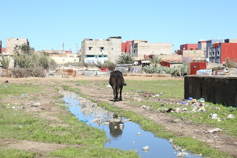 مطارح النفايات بالقرى المغربية .. “قنابل بيئية” تهدّد مستقبل السكان