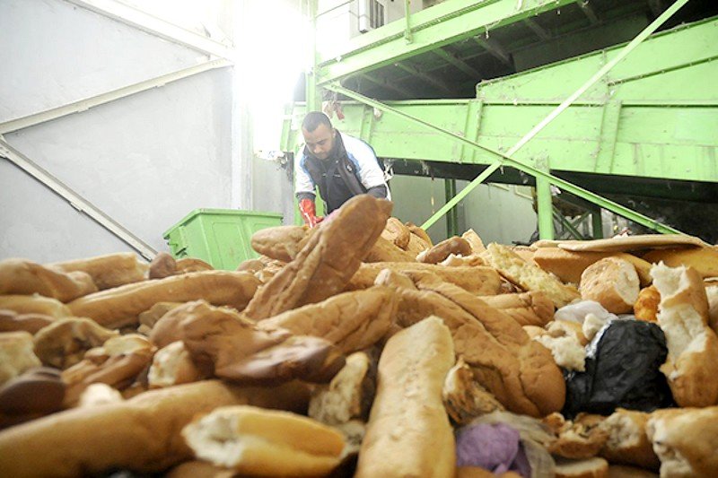 الجزائريون يبذرون أربعة ملايين خبزة في 20 يوما