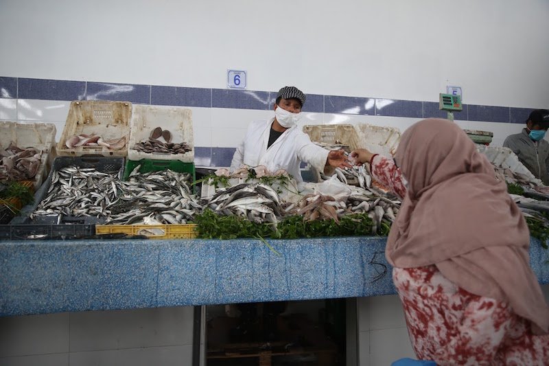 “المنزلة” تُغيب سمك السردين من أسواق البيضاء