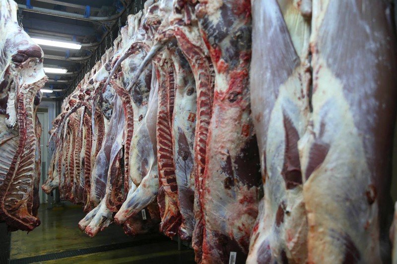 “كوفيد-19” يقلص معاملات تجار اللحوم الحمراء