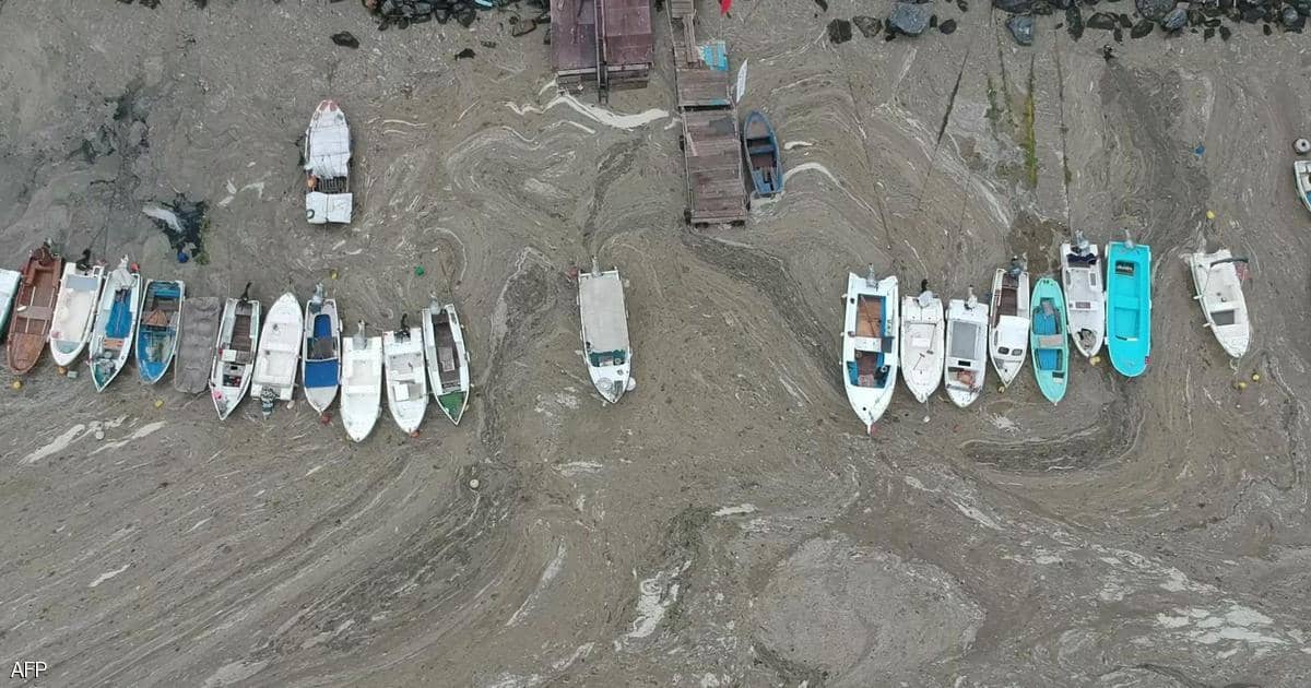 “مخاط البحر” يهدد شواطئ مرمرة التركية