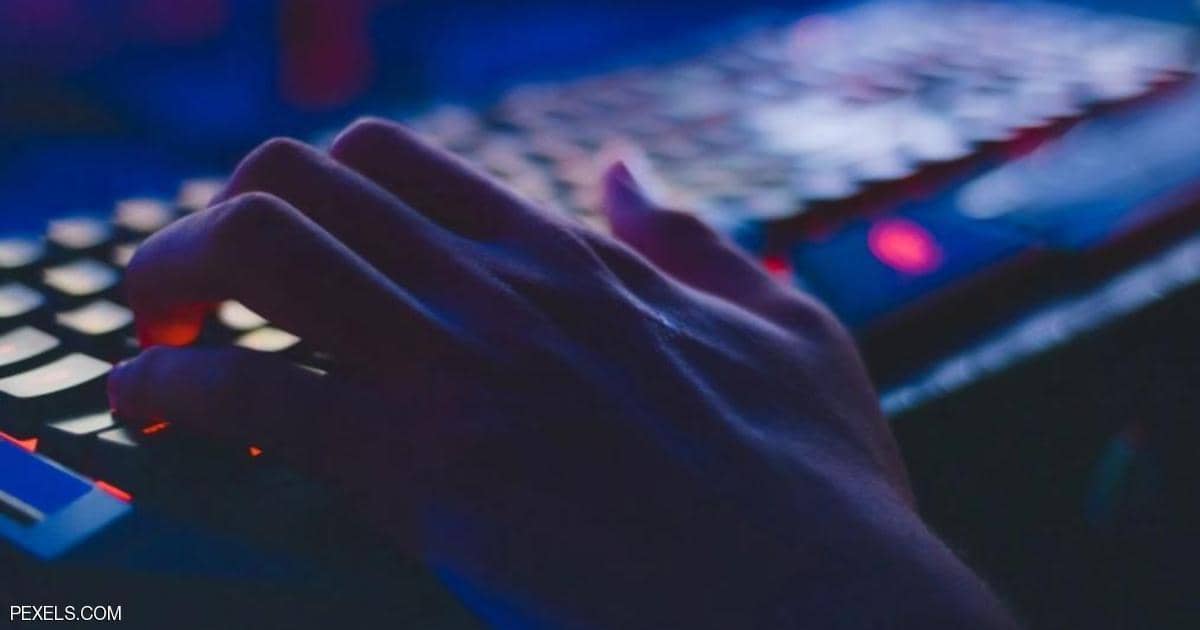 مخاوف أميركية من هجمات إلكترونية تطالب بفديات بعملات رقمية