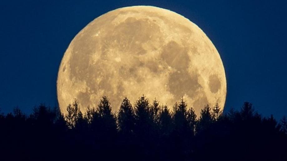ماذا سيحدث إذا كان القمر أقرب مرتين من الأرض مما هو عليه اليوم؟