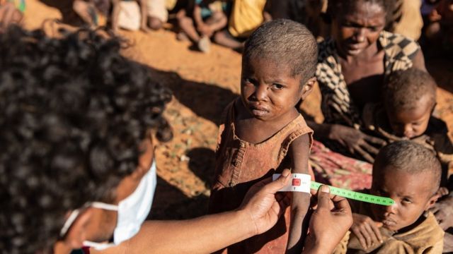 درجات الحرارة: أول مجاعة “كارثية” في العالم بسبب تغير المناخ في مدغشقر وعائلات تأكل الحشرات للبقاء