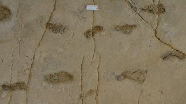 أقدام تراخيلوس: هل تغيّر هذه الآثار المثيرة للجدل ما نعرفه عن مكان نشأة الإنسان؟