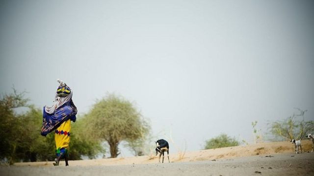 التغير المناخي: تقرير استخباراتي أمريكي يحذر من احتدام التوتر في الشرق الأوسط وحول العالم