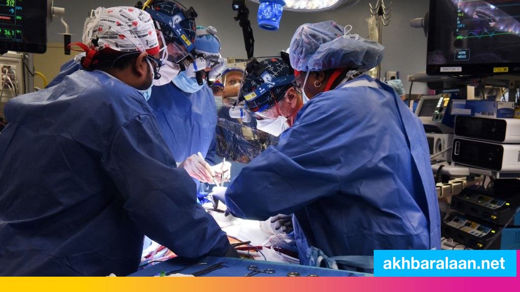أول عمليّة من نوعها.. جراحون أمريكيون ينجحون في زراعة قلب خنزير معدل وراثيا في إنسان