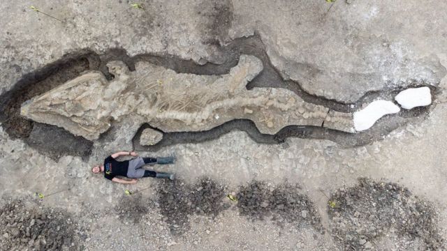 الكشف عن حفرية “تنّين بحري” عملاق كان يعيش قبل ملايين السنين في بريطانيا