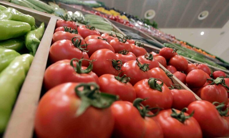 قرار بوقف تصدير الطماطم لخفض أسعارها