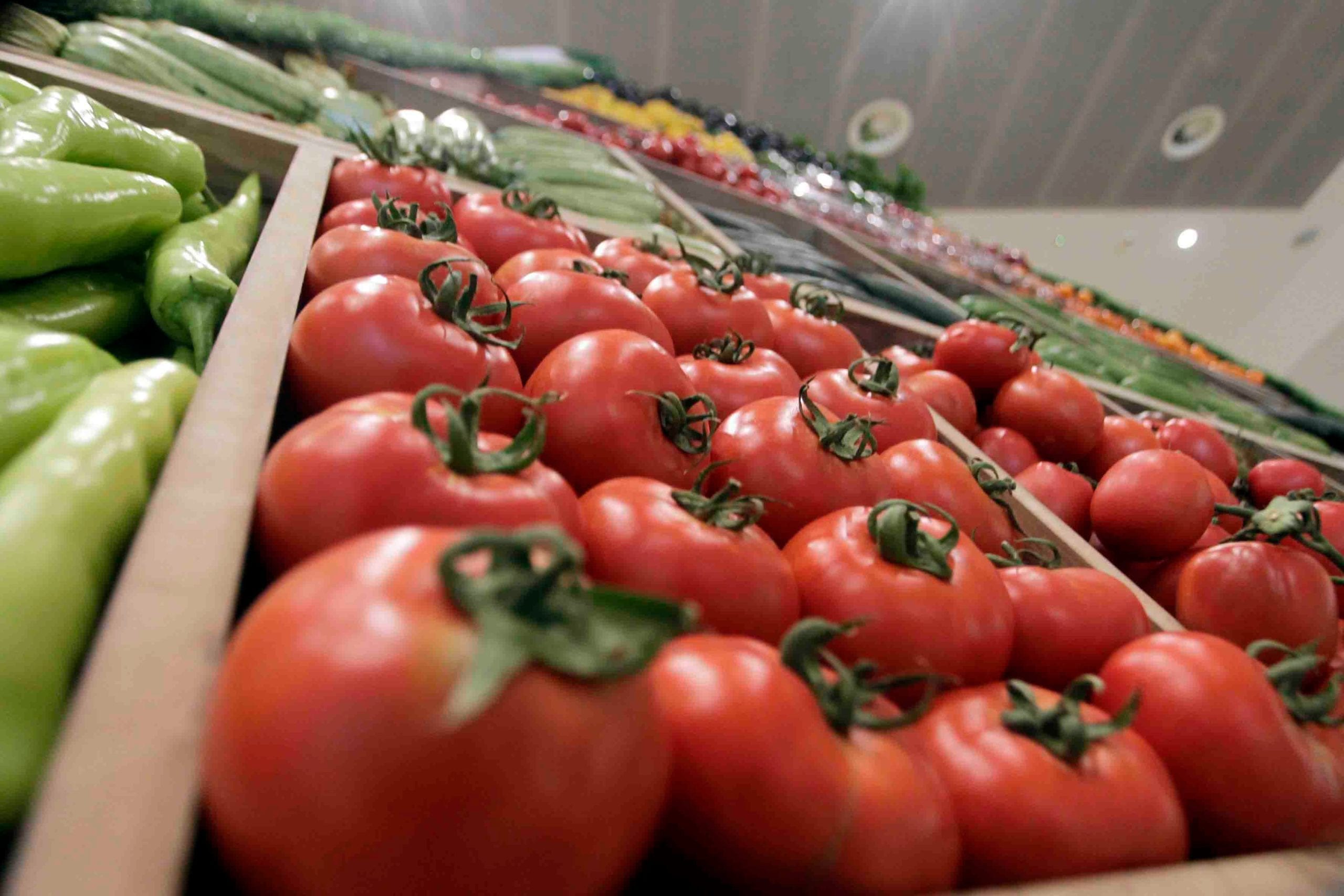هل يخفض المغرب صادراته من الطماطم لمواجهة ارتفاع الأسعار؟