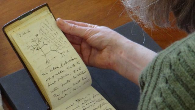 العثور على دفتري ملاحظات داروين “المسروقين” بعد 22 عاماً على اختفائهما