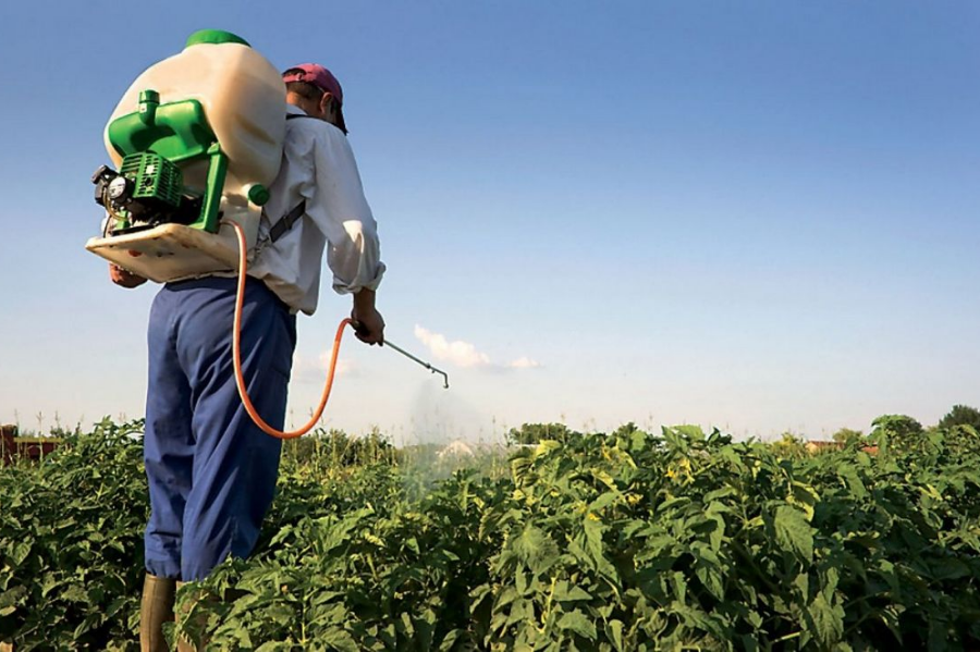 وزارة الفلاحة تسحب أكثر من 300 نوع من المبيدات الزراعية