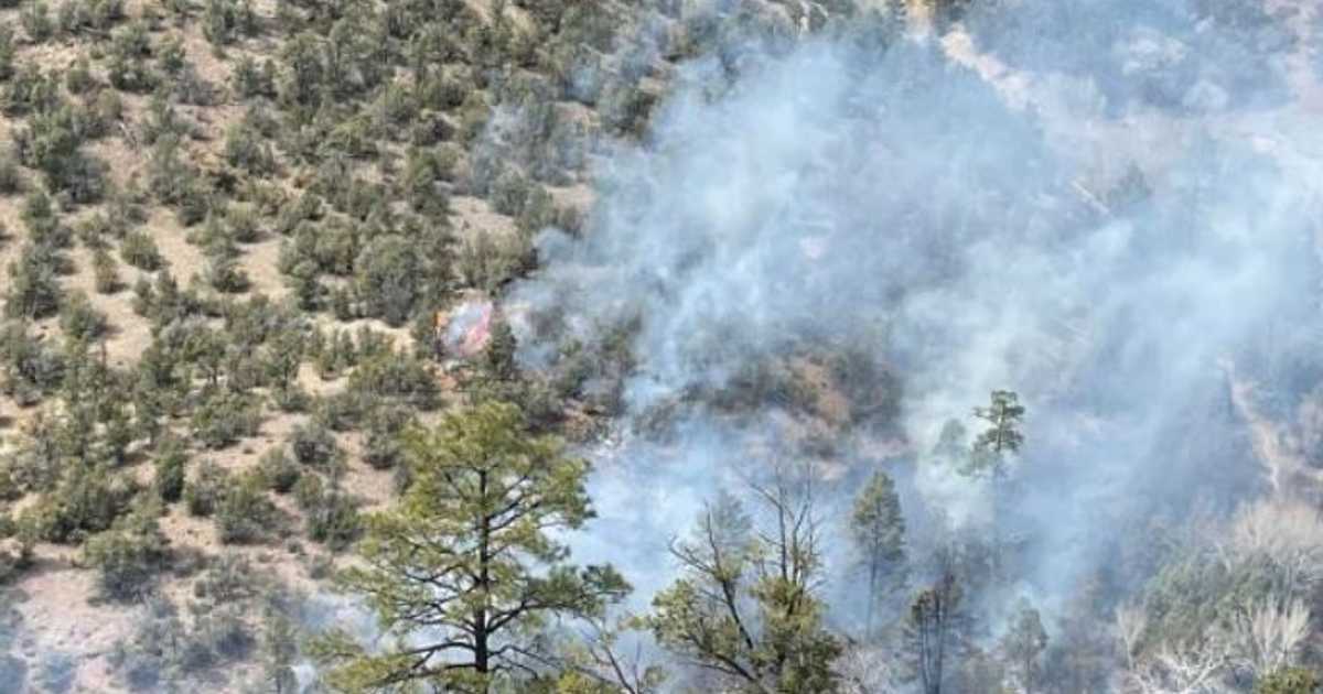 أكبر حريق غابات بأميركا يجبر سكان قرى ولاية على المغادرة
