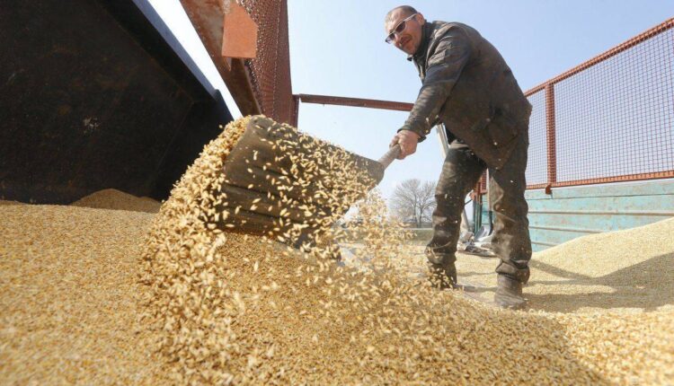 بايتاس : مخزون القمح يكفي لـ4 أشهر من الاستهلاك