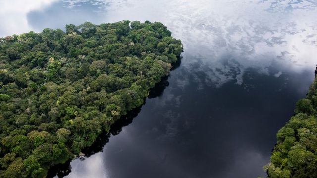التغير المناخي: “رئتا البشرية” المعرضتان للتهديد في حوض الكونغو