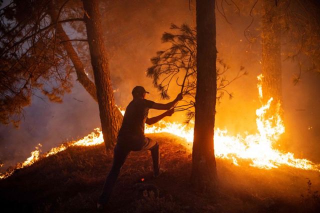 درجات الحرارة: هل أصبحت حرائق الغابات أكثر تكراراً وشيوعاً؟