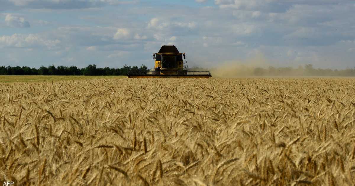 روسيا: وثيقة نهائية بشأن صادرات الحبوب الأوكرانية “قريبا”