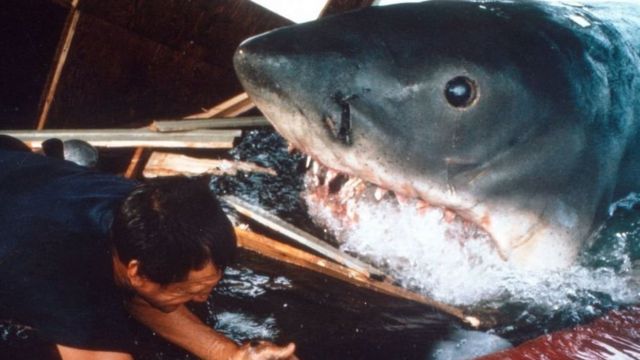 كيف قضى مؤلف الفك المفترس باقي حياته في الدفاع عن سمك القرش؟