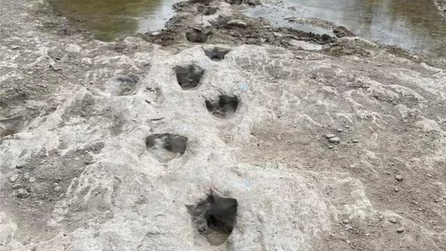 الجفاف في تكساس يُظهر آثار أقدام ديناصور يعود تاريخها إلى 113 مليون سنة