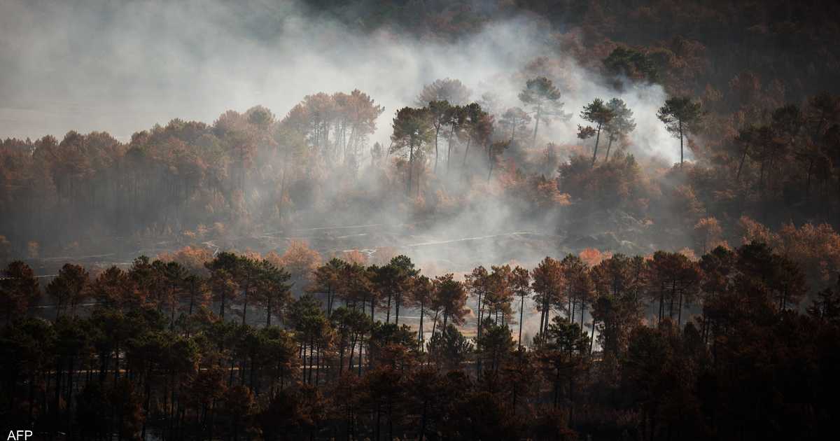 الحرائق تفتك بالغابات وتجلي الآلاف في فرنسا
