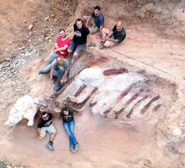 العثور على هيكل عظمي لديناصور عملاق في حديقة منزل في البرتغال