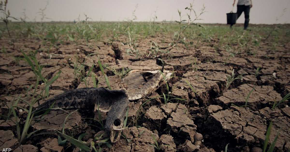 “نوبات الجفاف” تتزايد.. ما هي الرسائل التي يبعث المناخ بها؟