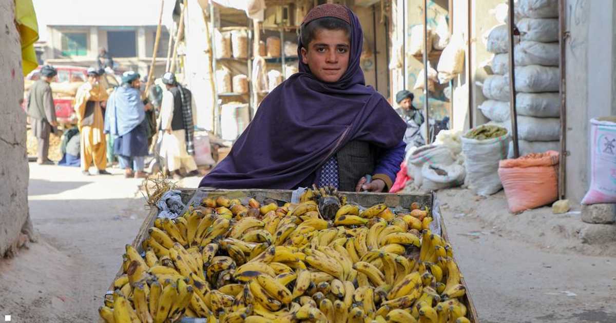 تقرير دولي صادم بشأن أطفال المدارس.. الأرقام كارثية